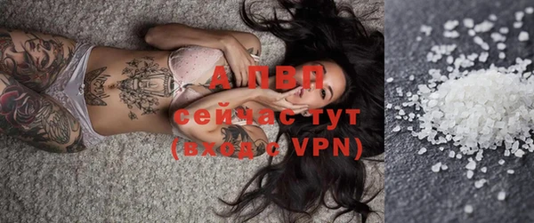 молекула духа Пенза