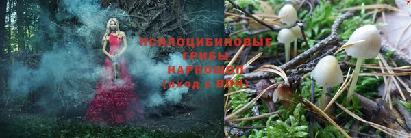 ГАЛЛЮЦИНОГЕННЫЕ ГРИБЫ Киров