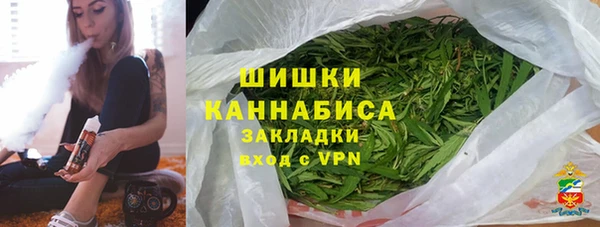 молекула духа Пенза