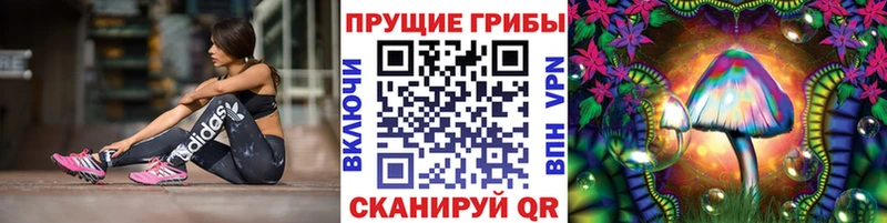 Купить Похвистнево Псилоцибиновые грибы ЛСД